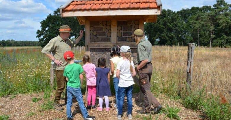 Vorstellung