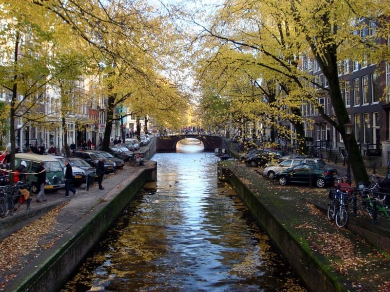 Amsterdam, über dts Nachrichtenagentur
