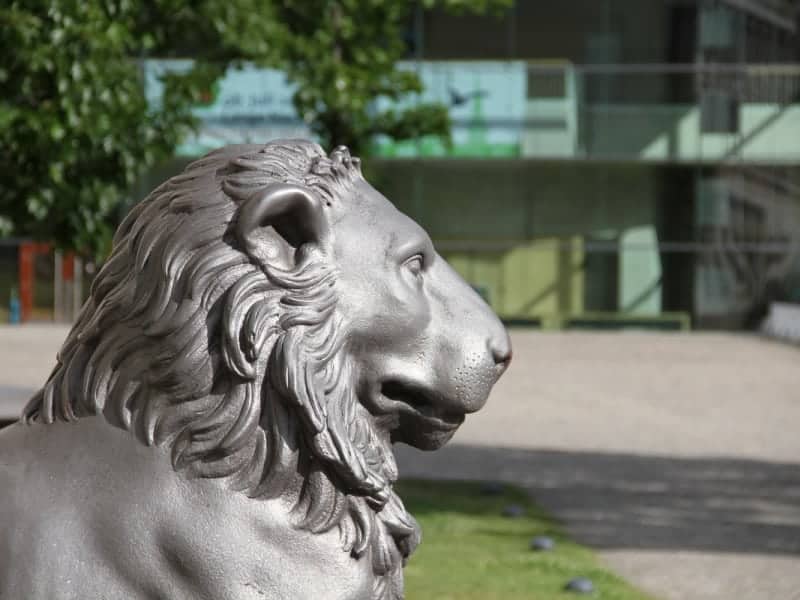 Universität Halle, über dts Nachrichtenagentur