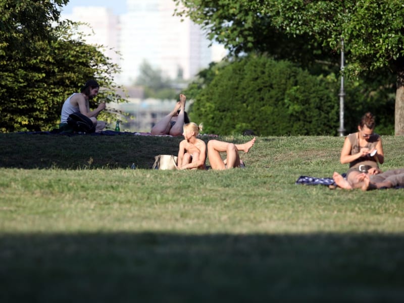Sonnenbaden auf einer Wiese, über dts Nachrichtenagentur