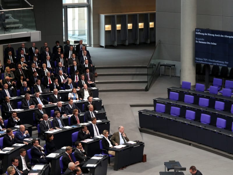 AfD-Bundestagsfraktion, über dts Nachrichtenagentur