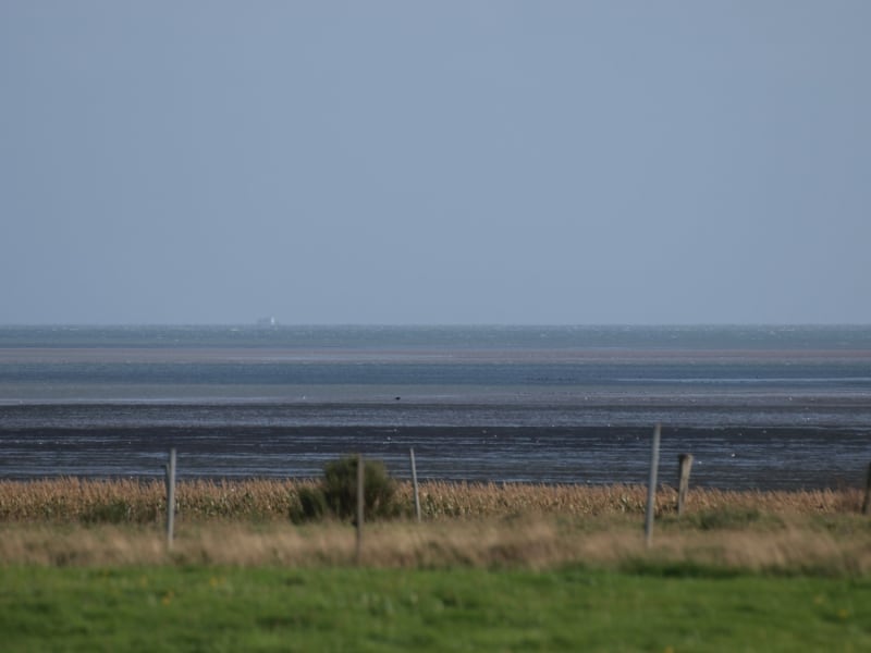 Das Wattenmeer an der Nordsee, über dts Nachrichtenagentur