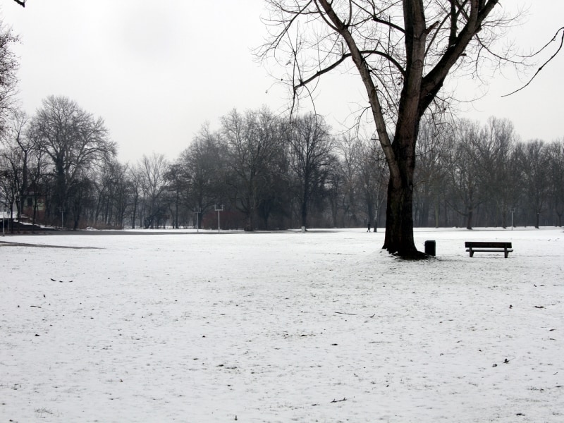 Winterlandschaft, über dts Nachrichtenagentur
