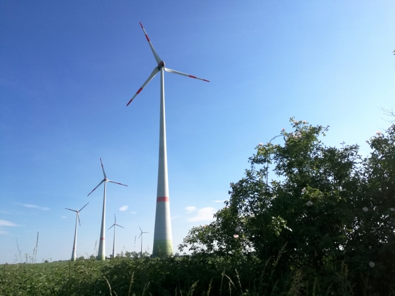 Windräder bei Tantow in Brandenburg, über dts Nachrichtenagentur