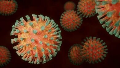 Erneut Virusmutation im Emsland festgestellt