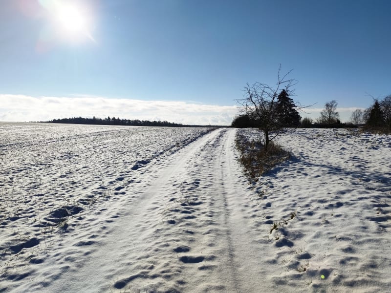 Die Ruhe vor dem Sturm: Schnee im Norden Brandenburgs, über dts Nachrichtenagentur