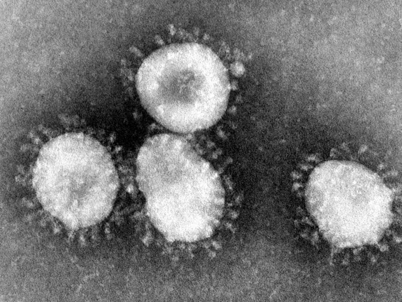 Coronavirus, über dts Nachrichtenagentur