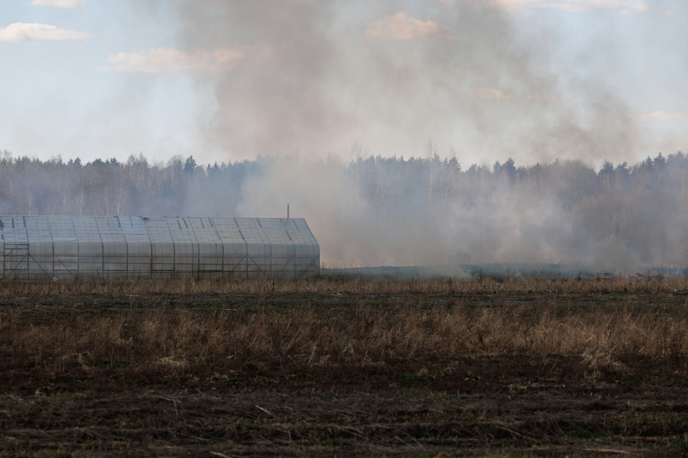 Geschwärzte landwirtschaftliche Fläche mit Rauch über dem Boden