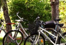 Radfahrerinnen und Radfahrer auf einer Tour – Symbolbild zur Dienstagstour in Werlte
