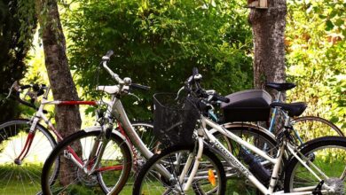 Radfahrerinnen und Radfahrer auf einer Tour – Symbolbild zur Dienstagstour in Werlte