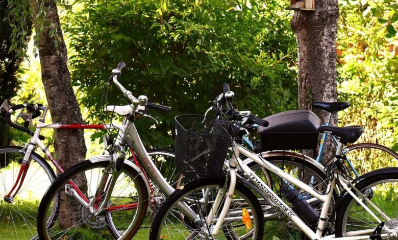 Radfahrerinnen und Radfahrer auf einer Tour – Symbolbild zur Dienstagstour in Werlte