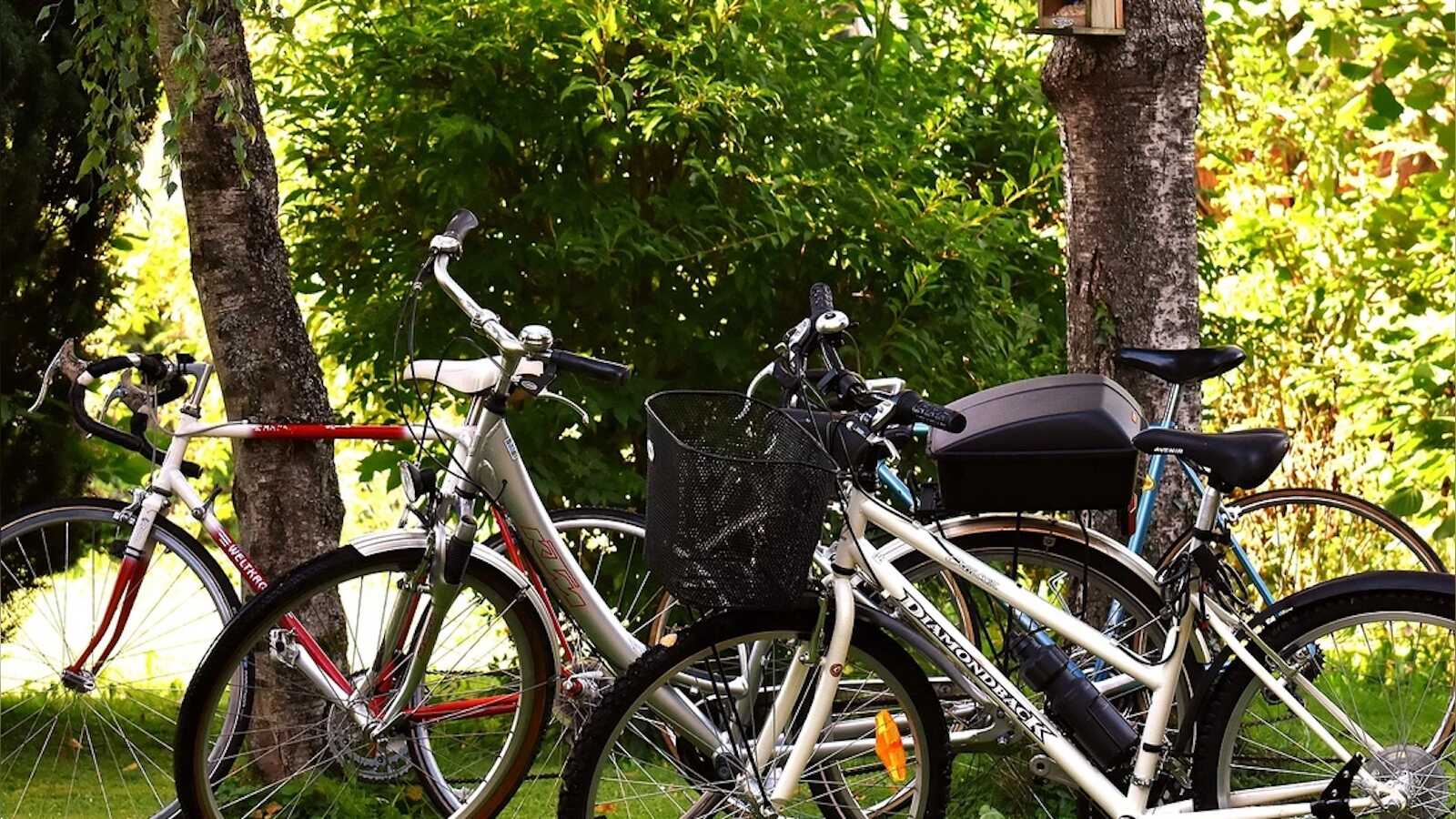 Radfahrerinnen und Radfahrer auf einer Tour – Symbolbild zur Dienstagstour in Werlte