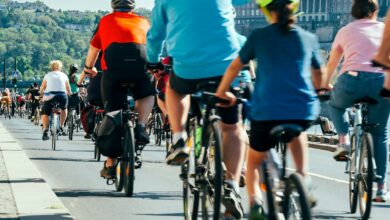 Eine große Gruppe Radfahrender fährt gemeinsam über eine Straße
