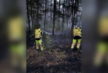 Einsatzkräfte der Feuerwehr bekämpfen den Waldbrand am Drift in Bockholte