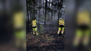 Einsatzkräfte der Feuerwehr bekämpfen den Waldbrand am Drift in Bockholte