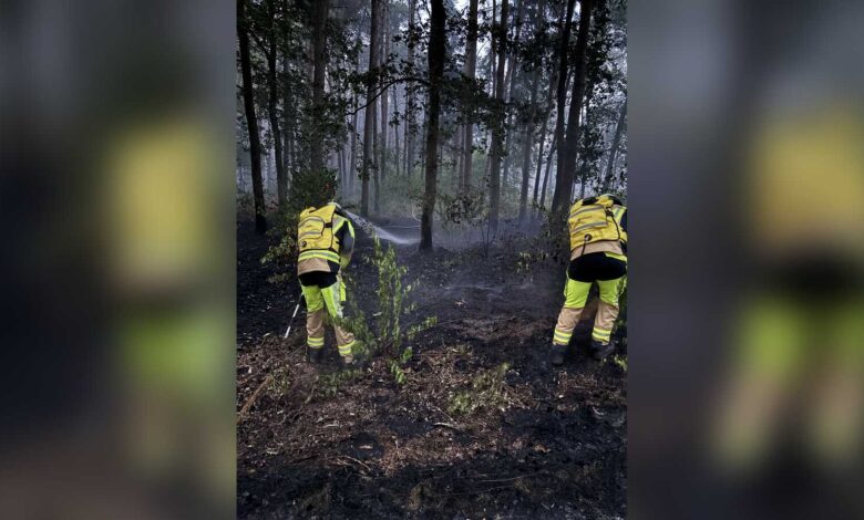 Einsatzkräfte der Feuerwehr bekämpfen den Waldbrand am Drift in Bockholte
