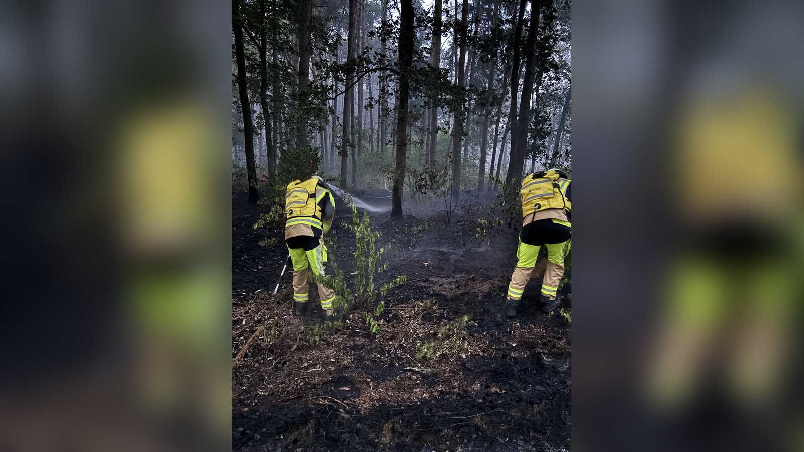 Einsatzkräfte der Feuerwehr bekämpfen den Waldbrand am Drift in Bockholte