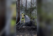 Feuerwehrleute bei den Löscharbeiten auf der rund 25 mal 50 Meter großen Waldfläche in Bockholte