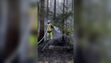 Feuerwehrleute bei den Löscharbeiten auf der rund 25 mal 50 Meter großen Waldfläche in Bockholte