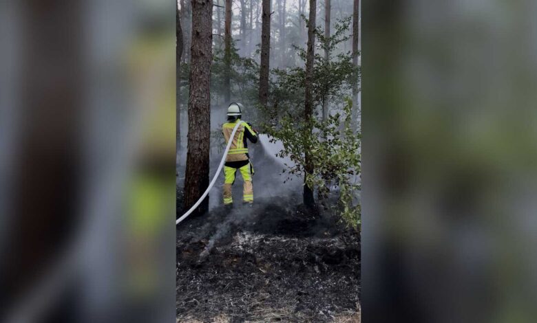 Feuerwehrleute bei den Löscharbeiten auf der rund 25 mal 50 Meter großen Waldfläche in Bockholte