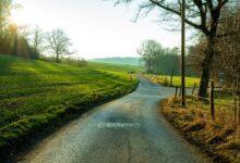 Landstraße mit begleitendem Weg führt durch grüne Felder