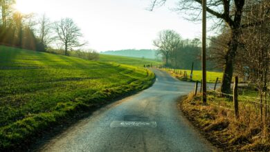 Landstraße mit begleitendem Weg führt durch grüne Felder