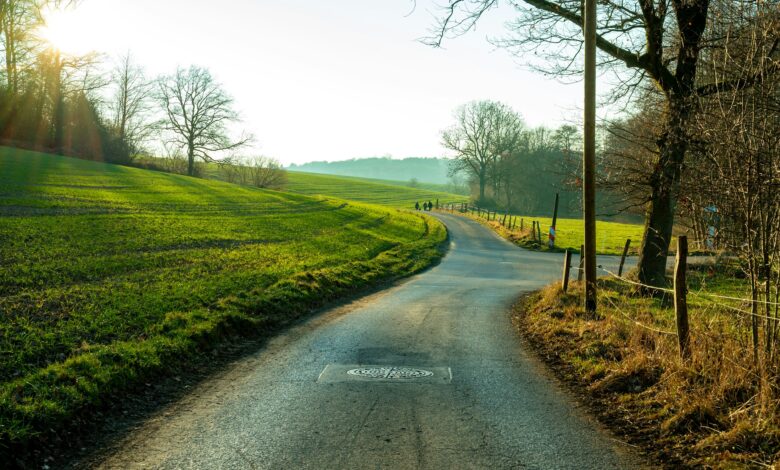 Landstraße mit begleitendem Weg führt durch grüne Felder