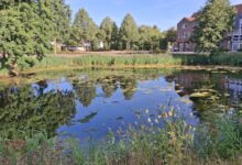 Der Marktsee am Gropiusplatz in Meppen