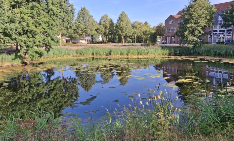 Der Marktsee am Gropiusplatz in Meppen