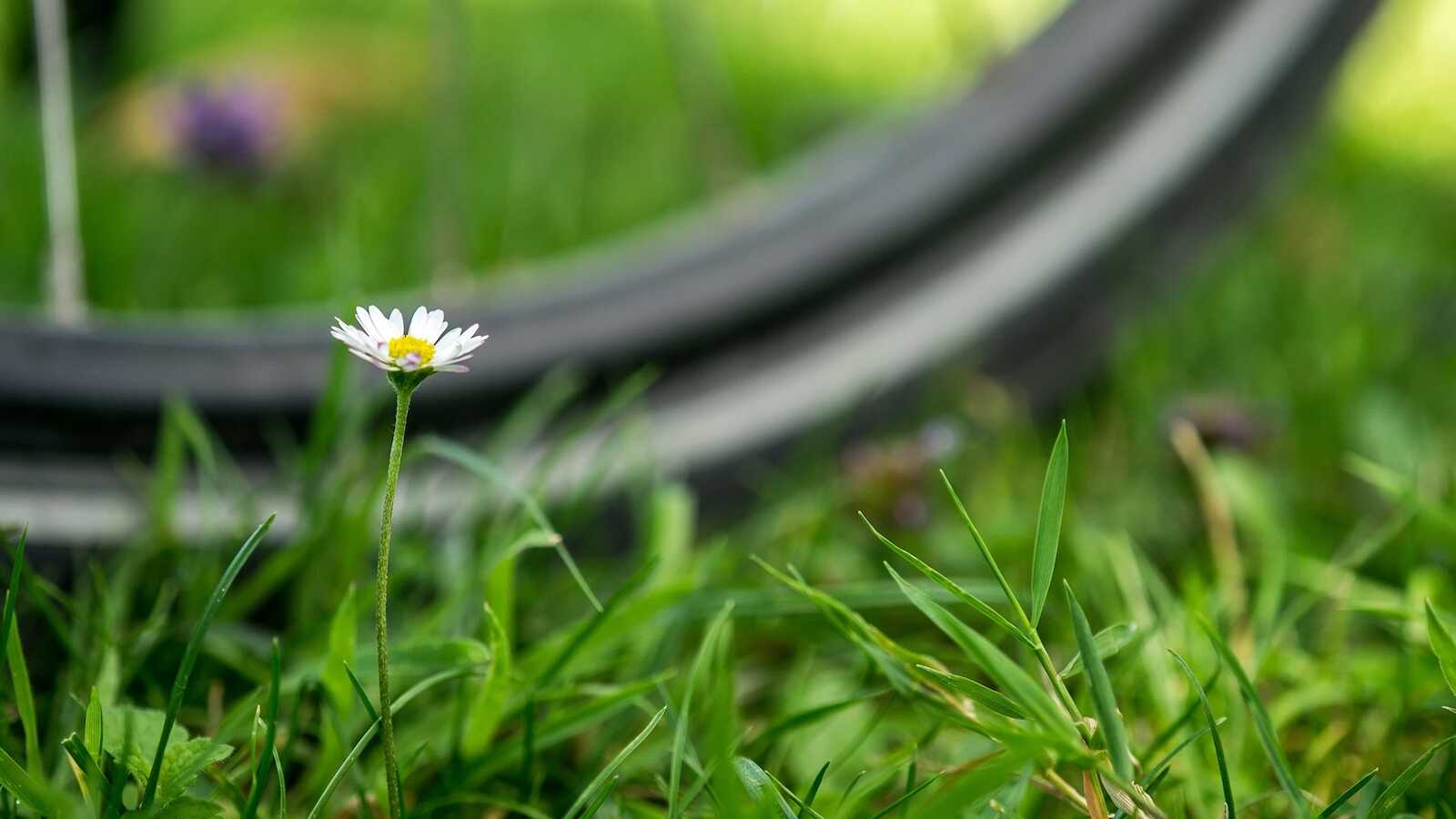 Radfahrer auf einem Weg durch die Landschaft – Symbolbild zu den Mittwochstouren in Werlte