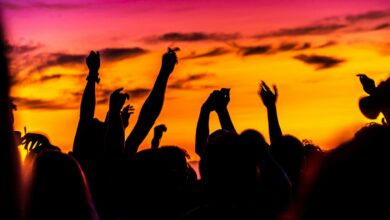 Publikum mit erhobenen Händen als Silhouetten vor Abendhimmel bei einem Open-Air-Konzert – Symbolbild