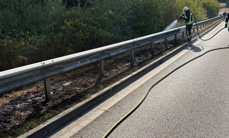 Einsatzkräfte der Feuerwehr Dörpen beim Löschen des Flächenbrandes am 25. August 2026
