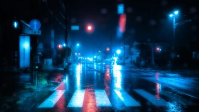 Nasser Fußgängerüberweg bei Nacht mit gespiegelten Ampellichtern