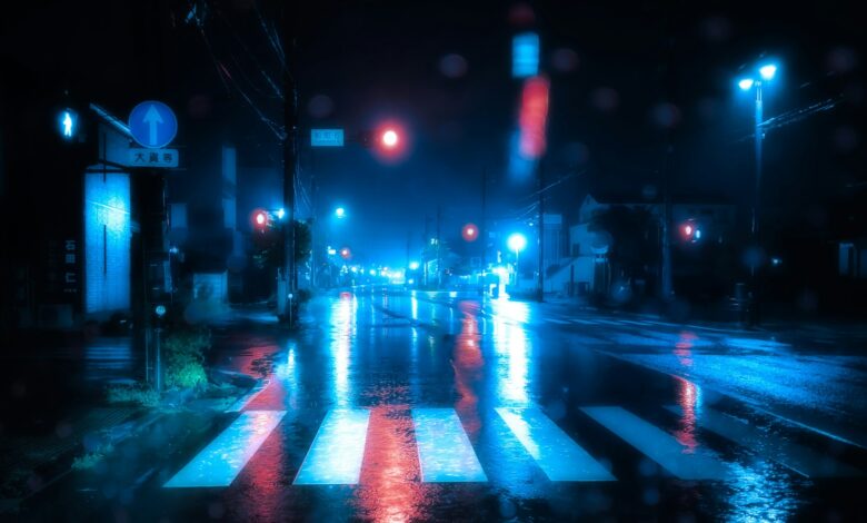 Nasser Fußgängerüberweg bei Nacht mit gespiegelten Ampellichtern