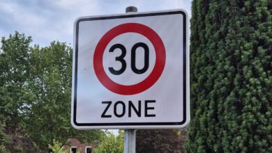 Verkehrsschild Tempo-30-Zone am Straßenrand vor Bäumen und Wohnhäusern
