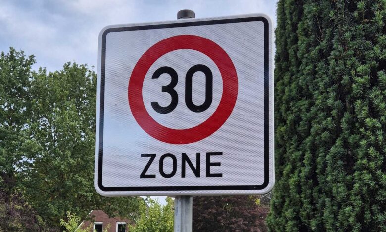 Verkehrsschild Tempo-30-Zone am Straßenrand vor Bäumen und Wohnhäusern