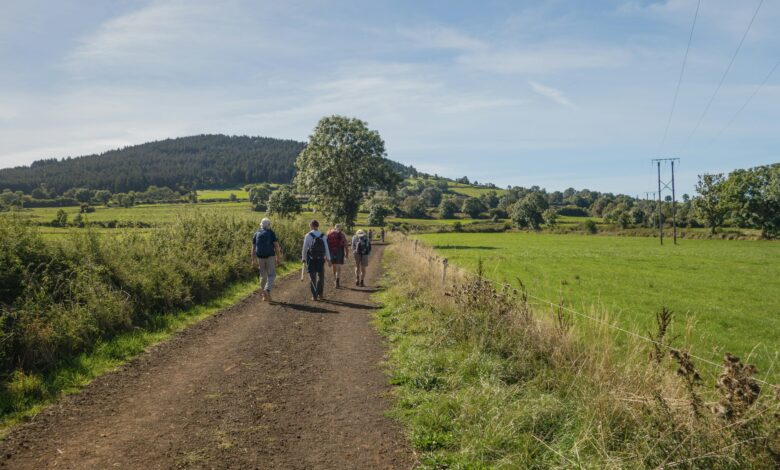 Wanderer auf einem Feldweg durch grüne Landschaft, Symbolbild