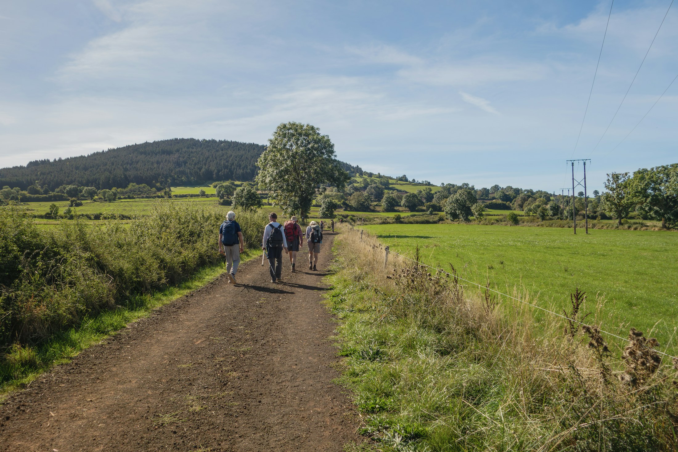 Wanderer auf einem Feldweg durch grüne Landschaft, Symbolbild