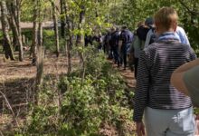 Wandergruppe geht hintereinander auf einem schmalen Waldweg durch lichten Laubwald