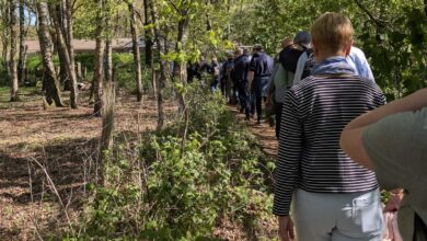 Wandergruppe geht hintereinander auf einem schmalen Waldweg durch lichten Laubwald