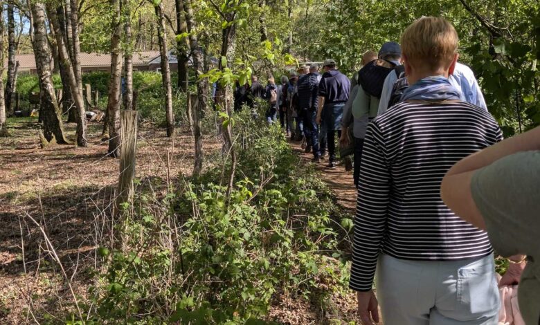 Wandergruppe geht hintereinander auf einem schmalen Waldweg durch lichten Laubwald