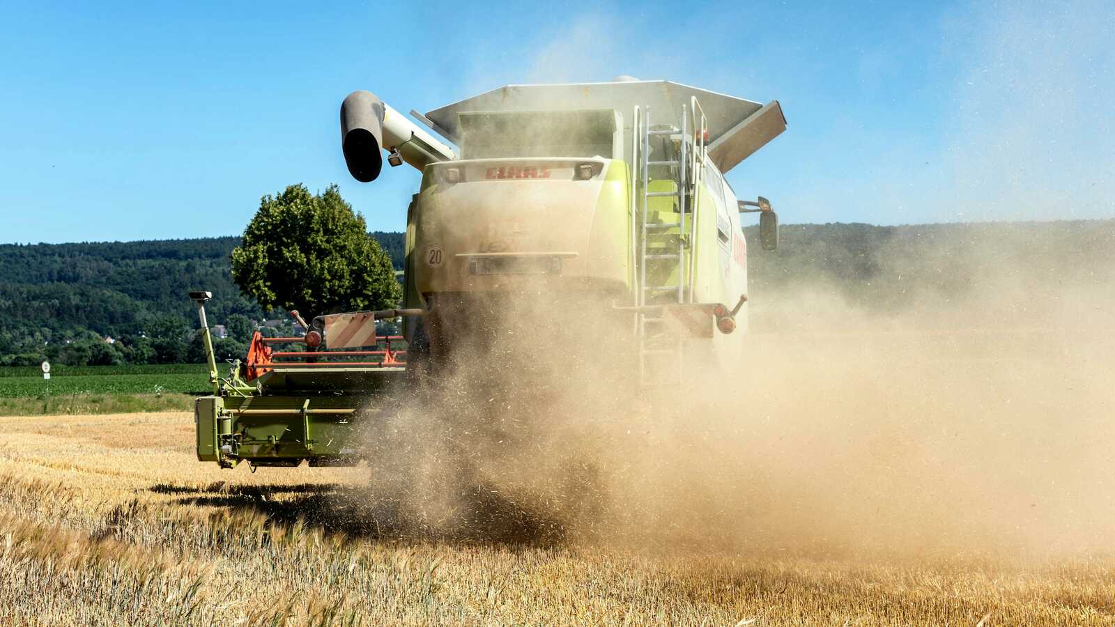 Mähdrescher wirbelt bei der Getreideernte Staub auf