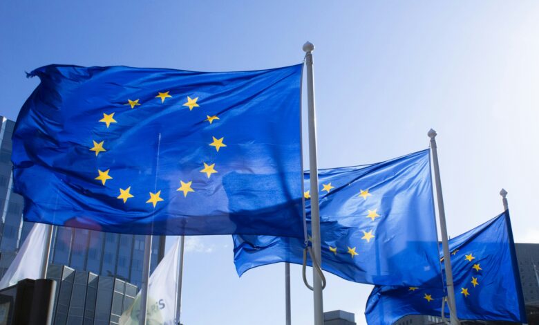 Europaflaggen wehen im Wind