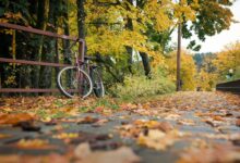 Ein Fahrrad steht auf herbstlichem Laub