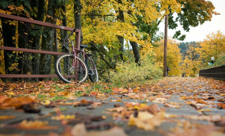 Ein Fahrrad steht auf herbstlichem Laub