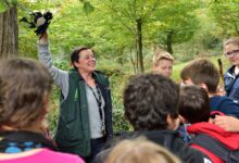 Teilnehmende einer Führung der Naturschutzranger im Bentheimer Hute- und Schneitelwald