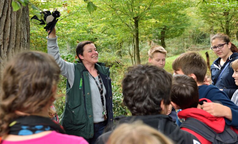 Teilnehmende einer Führung der Naturschutzranger im Bentheimer Hute- und Schneitelwald