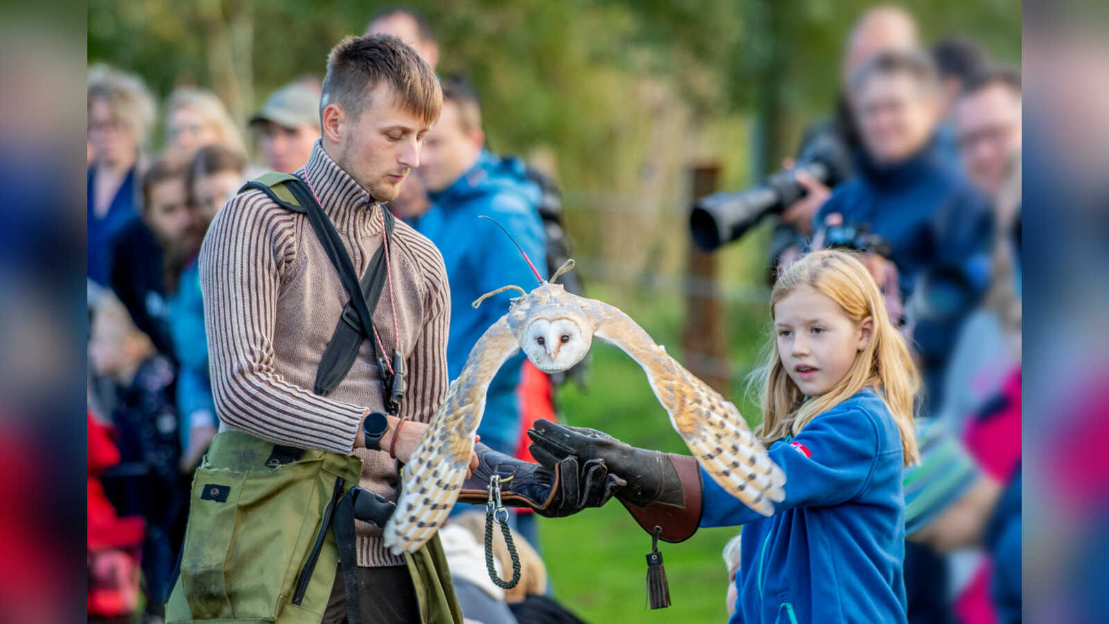 Falkner zeigt eine Greifvogel-Flugshow auf der Vechtewiese im Tierpark Nordhorn