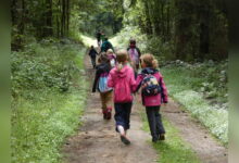 Kinder beim Herbstferienpass-Programm der Stadt Lingen