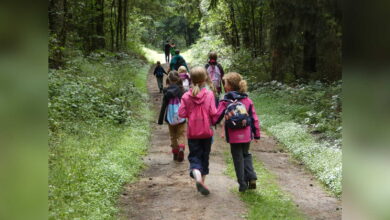 Kinder beim Herbstferienpass-Programm der Stadt Lingen
